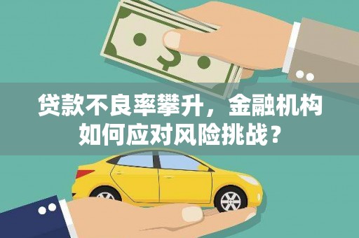 嘉祥贷款不良率攀升，金融机构如何应对风险挑战？