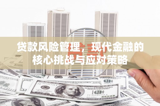 嘉祥贷款风险管理，现代金融的核心挑战与应对策略