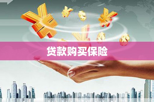 嘉祥贷款购买保险