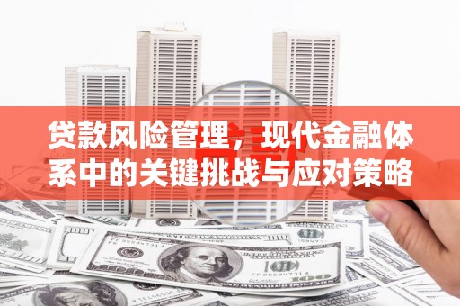 嘉祥贷款风险管理，现代金融体系中的关键挑战与应对策略
