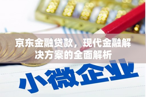 嘉祥京东金融贷款，现代金融解决方案的全面解析