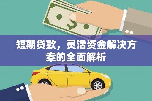 嘉祥短期贷款，灵活资金解决方案的全面解析