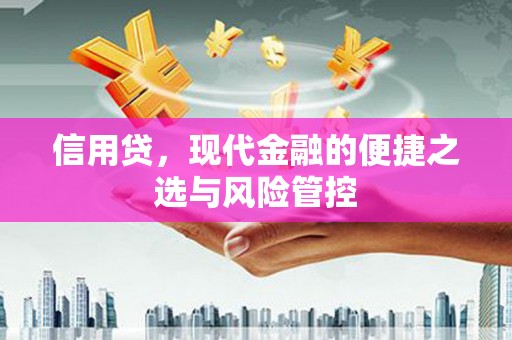 嘉祥信用贷，现代金融的便捷之选与风险管控