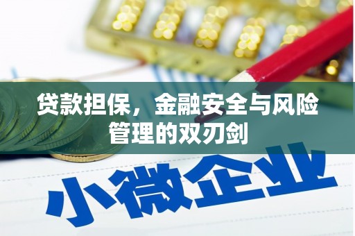 嘉祥贷款担保，金融安全与风险管理的双刃剑