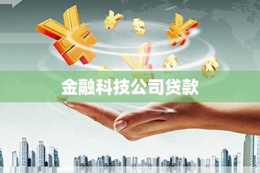 嘉祥金融科技公司贷款