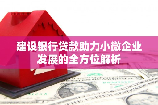 嘉祥建设银行贷款助力小微企业发展的全方位解析