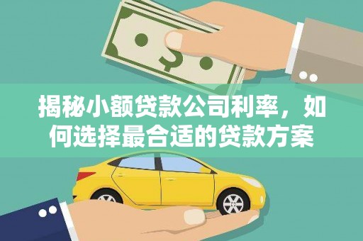嘉祥揭秘小额贷款公司利率，如何选择最合适的贷款方案