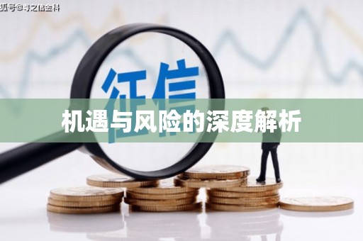 嘉祥机遇与风险的深度解析