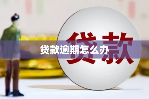 嘉祥贷款逾期怎么办