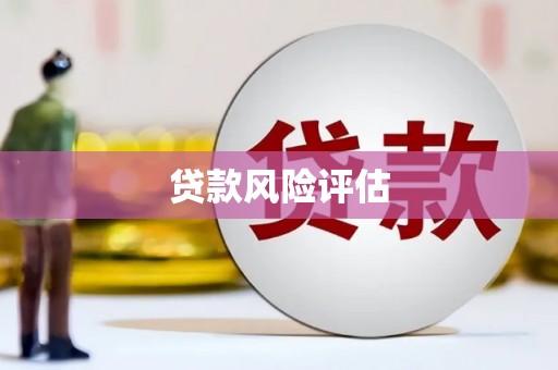 嘉祥贷款风险评估