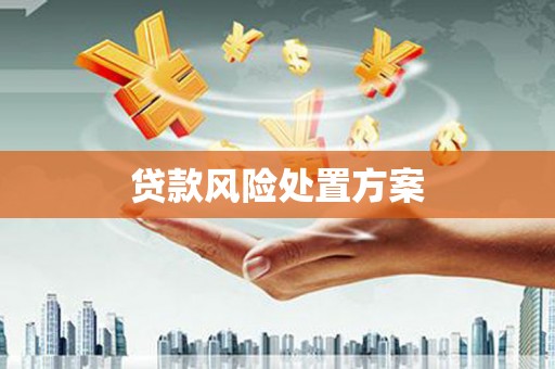嘉祥贷款风险处置方案