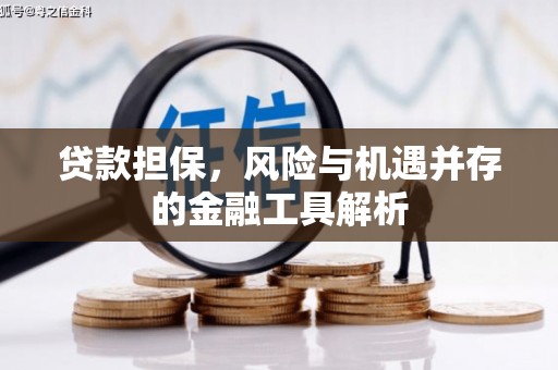 嘉祥贷款担保，风险与机遇并存的金融工具解析