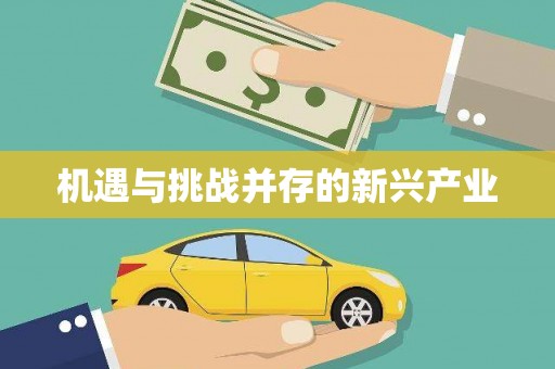 嘉祥机遇与挑战并存的新兴产业