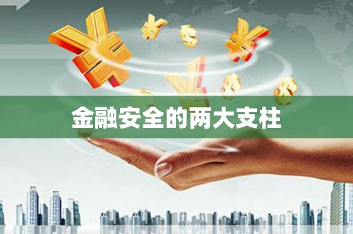 嘉祥金融安全的两大支柱