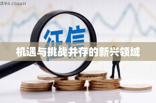 嘉祥机遇与挑战并存的新兴领域