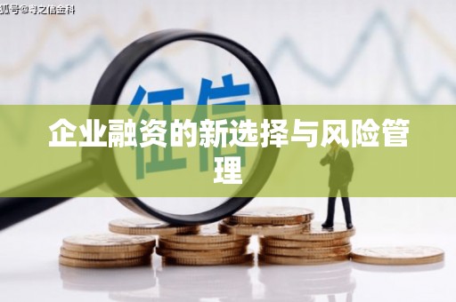嘉祥企业融资的新选择与风险管理