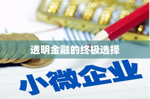 嘉祥透明金融的终极选择