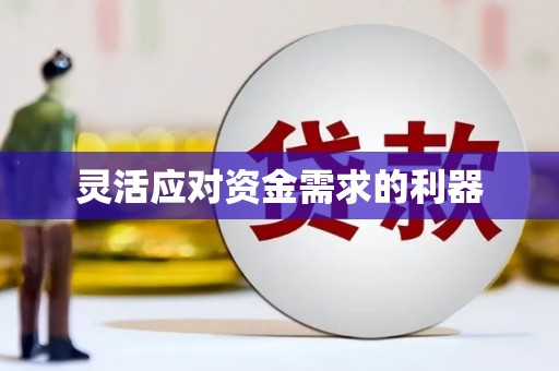 嘉祥灵活应对资金需求的利器
