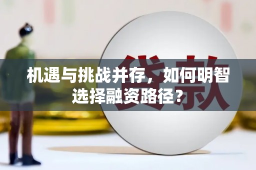 嘉祥机遇与挑战并存，如何明智选择融资路径？