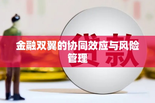 嘉祥金融双翼的协同效应与风险管理
